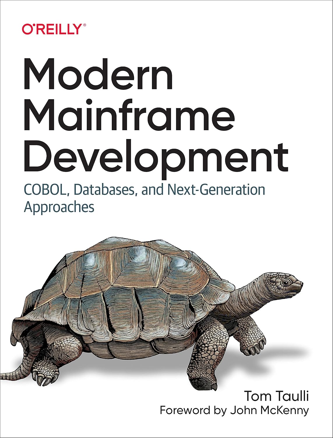 Modern Mainframe Development: COBOL, Databases, and Next-Generation Approaches (English Edition) baixar livro de graça