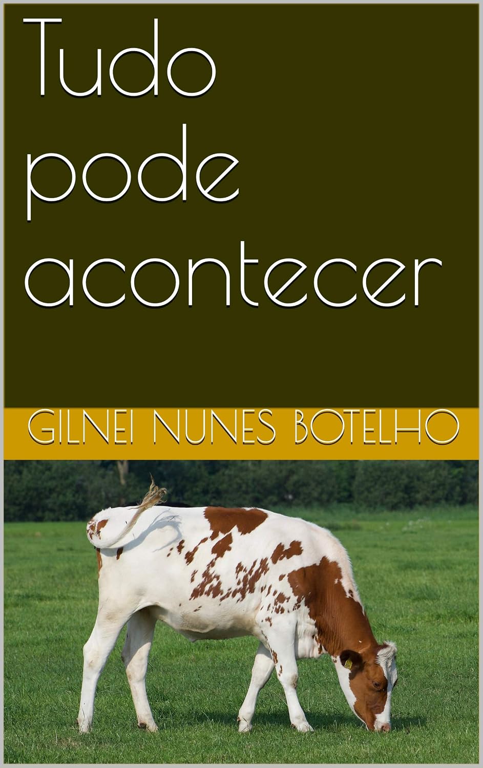 Tudo pode acontecer baixar o livro de graça