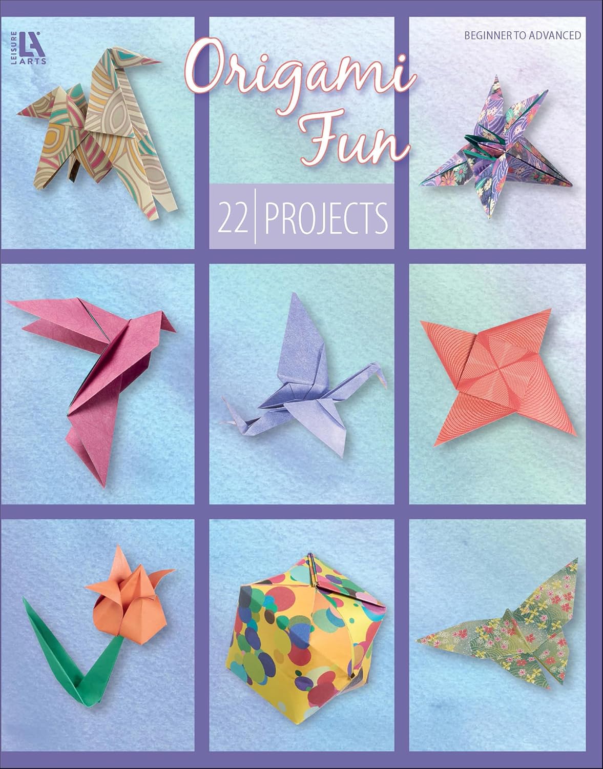Origami Fun: 22 Projects (English Edition) baixar livro de graça