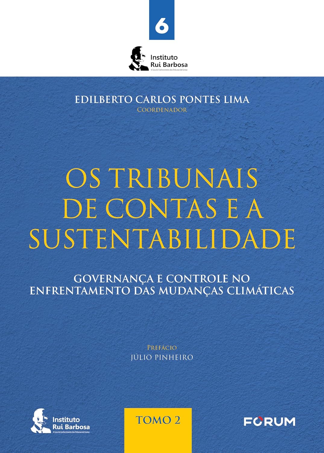Os tribunais de contas e a sustentabilidade: governança e controle no enfrentamento das mudanças climáticas - tomo ii: 6 baixar livro de graça