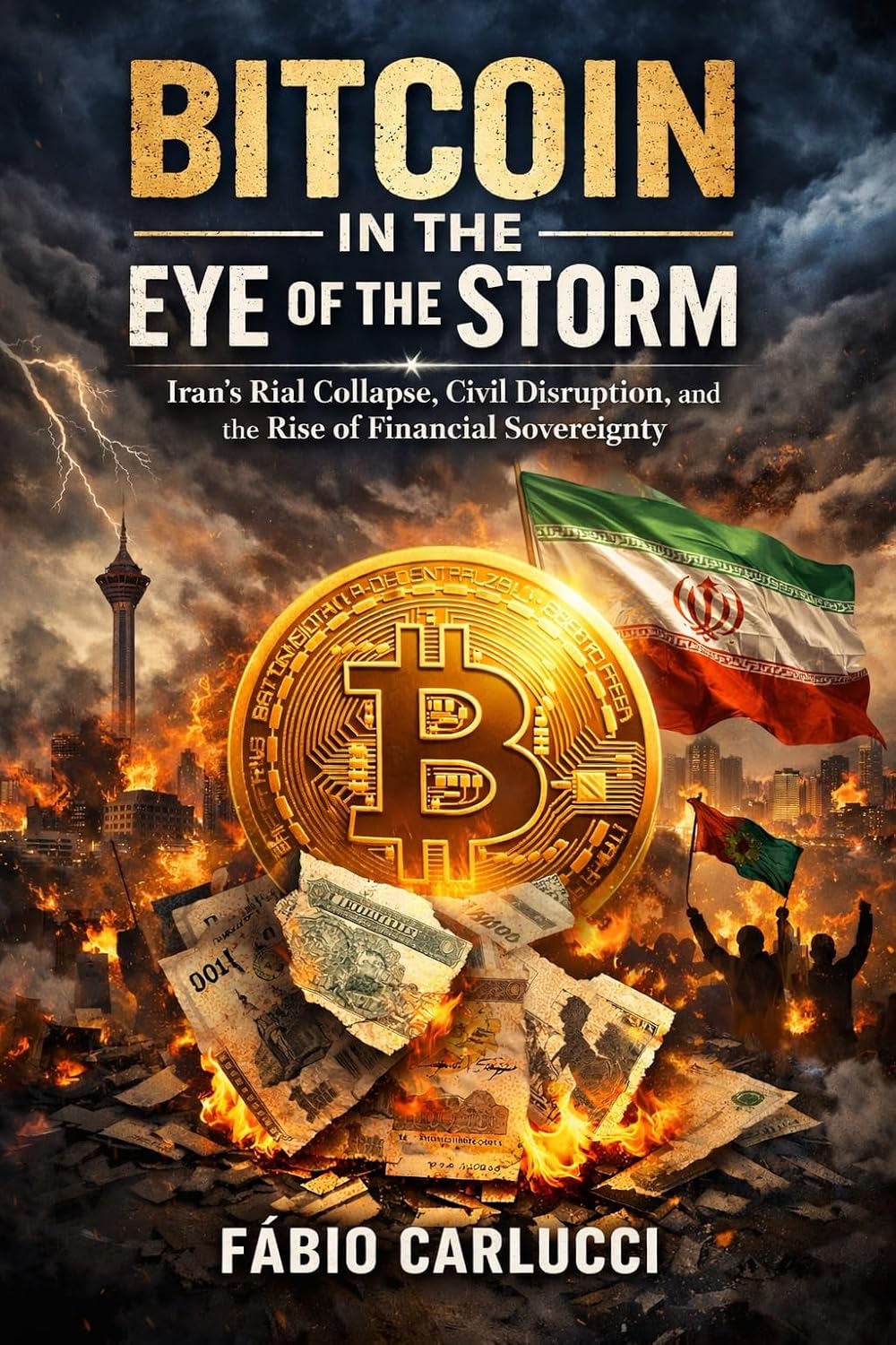 BITCOIN IN THE SHADOW OF COLLAPSE: Money, Custody, and Survival in Iran’s Monetary Crisis (English Edition) baixar o livro de graça