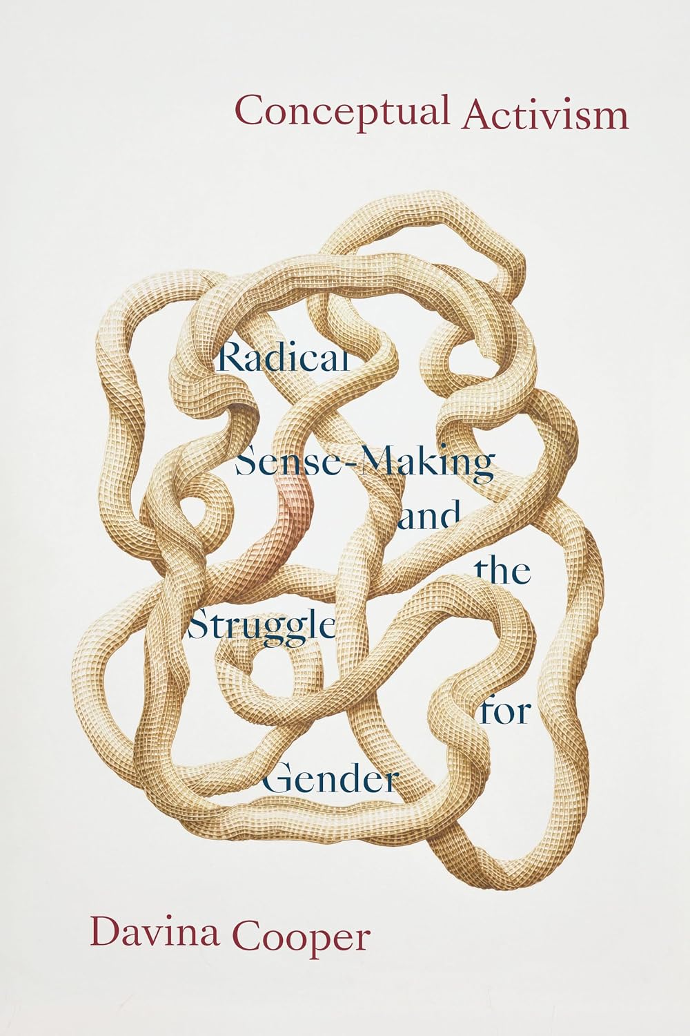 Conceptual Activism: Radical Sense-Making and the Struggle for Gender (English Edition) baixar livro de graça