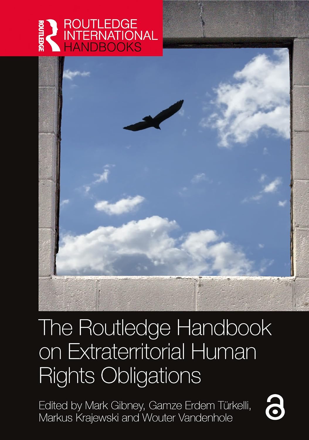 ler totalmente The Routledge Handbook on Extraterritorial Human Rights Obligations (Routledge International Handbooks) (English Edition)