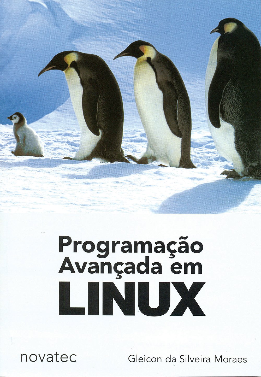 Programação Avançada em Linux