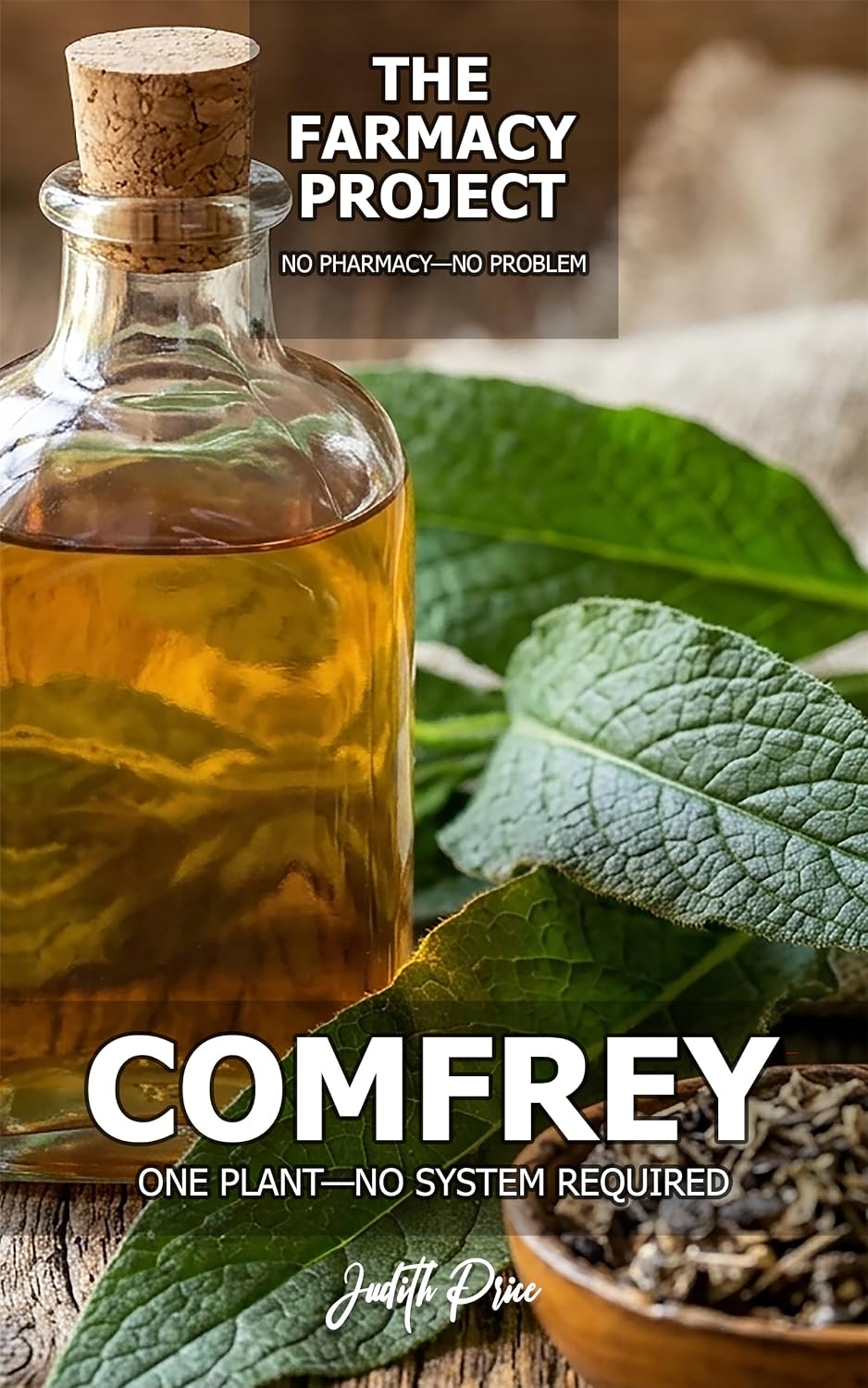 Comfrey: One Plant—No System Required (The FARMACY Project) (English Edition) baixar o livro de graça