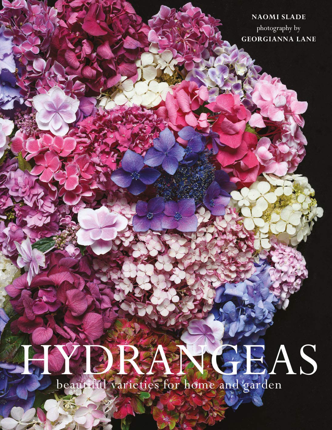 Hydrangeas: The ultimate flower guide for growing, flowering and cutting varieties for the home and gardening (English Edition) baixar livro de graça