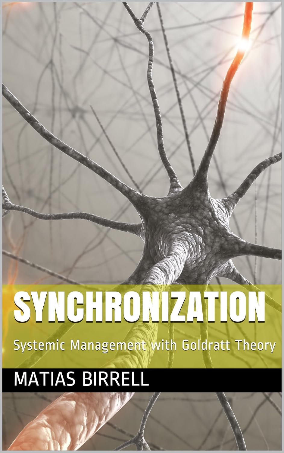 Synchronization: Systemic Management with Goldratt Theory (English Edition) baixar livro de graça