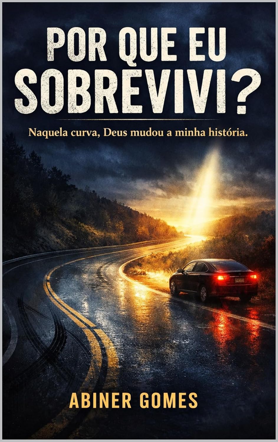 capítulo por capítulo baixar Por que eu sobrevivi?: Naquela curva, Deus mudou a minha história.