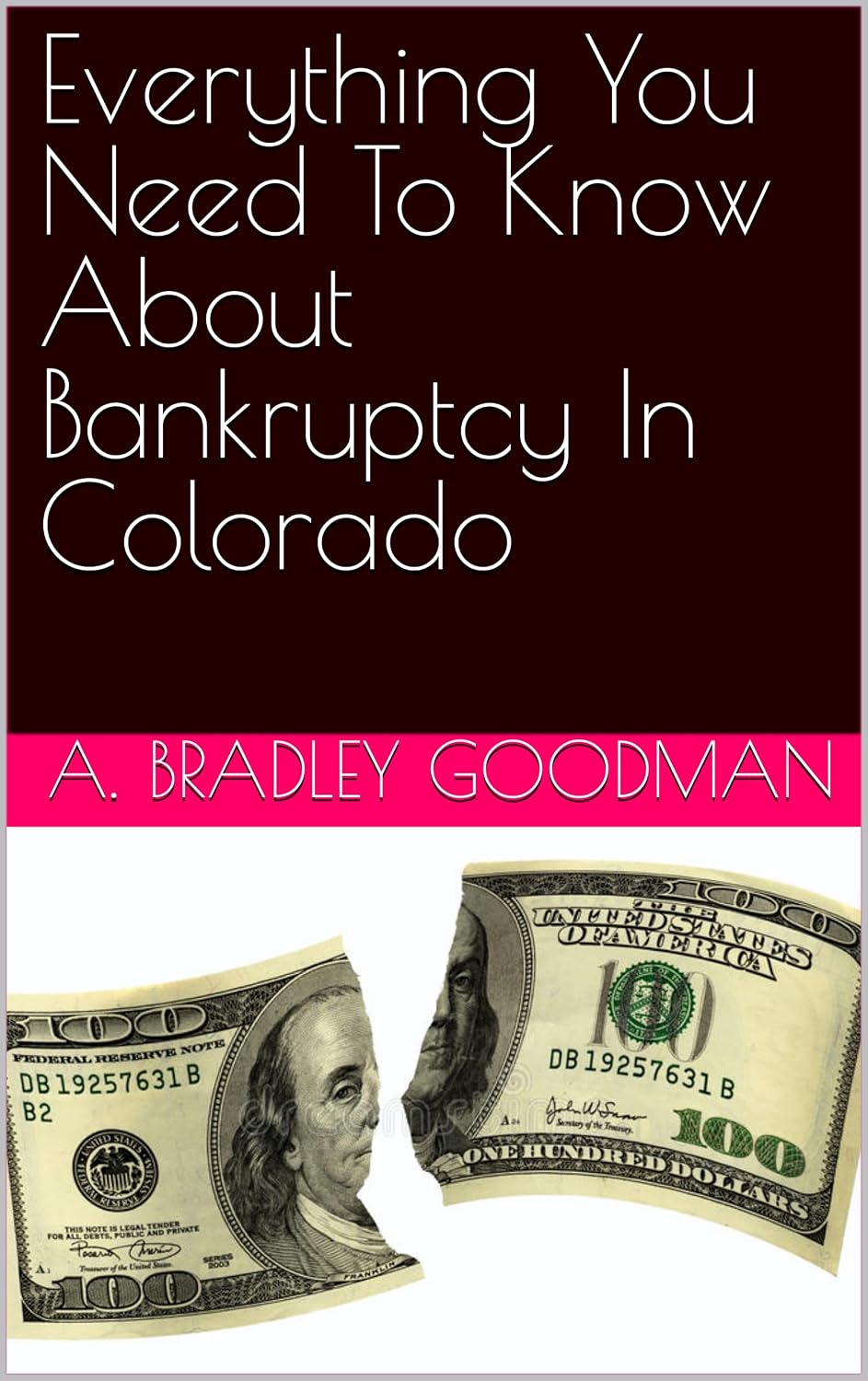 Everything You Need To Know About Bankruptcy In Colorado (English Edition) baixar livro de graça