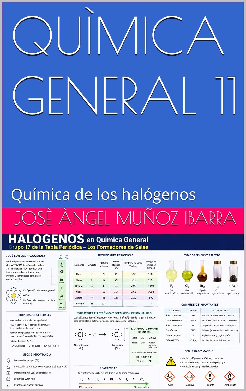 QUÌMICA GENERAL 11: Química de los halógenos (Spanish Edition) baixar o livro de graça