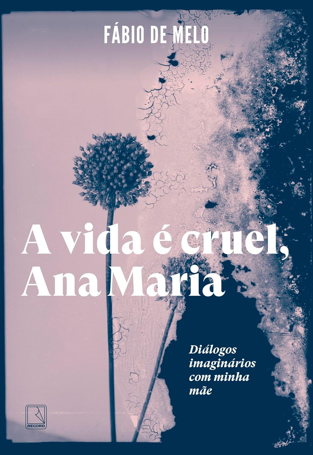 A vida é cruel, Ana Maria: Diálogos imaginários com minha mãe baixar o livro de graça