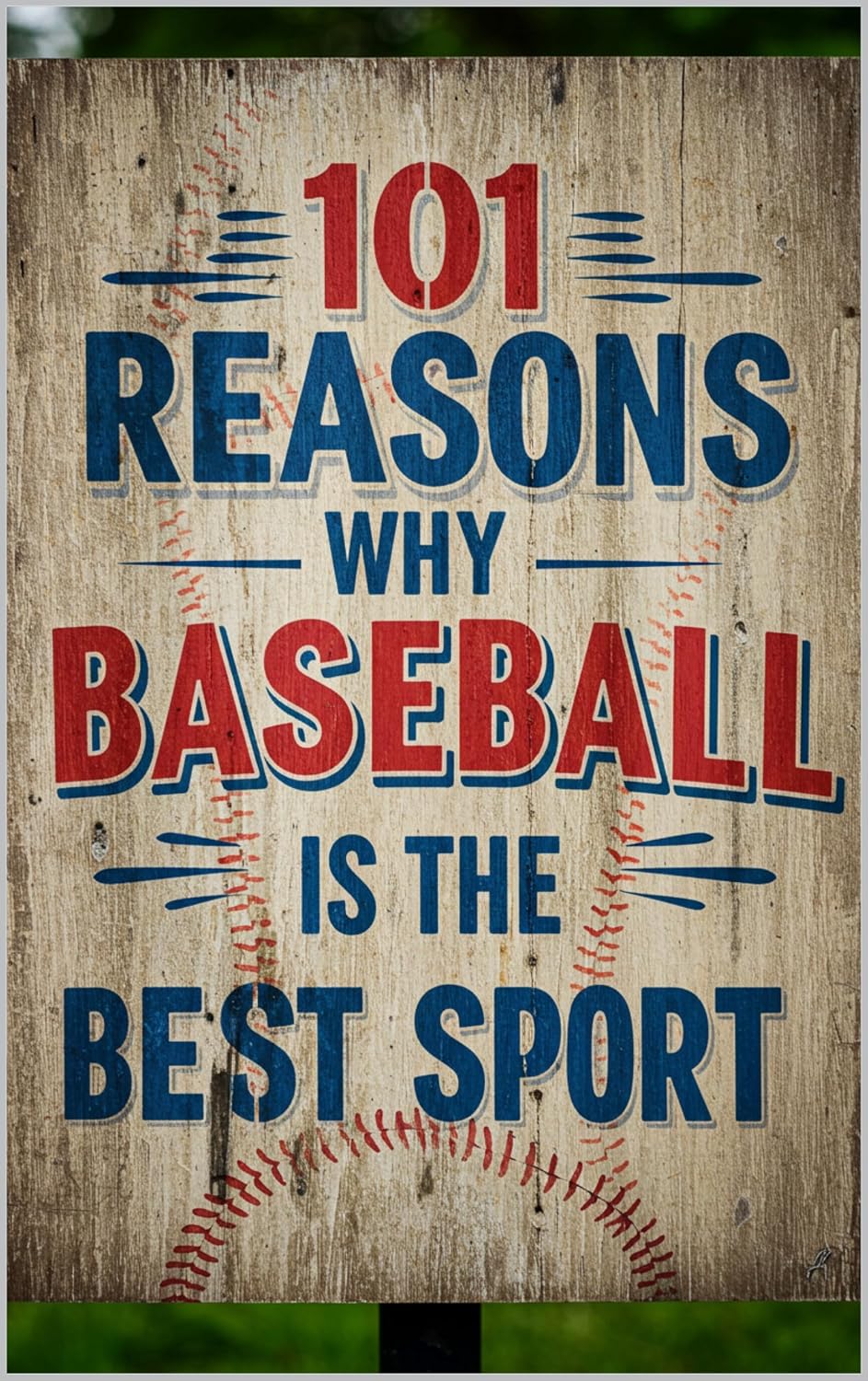 ler totalmente 101 Reasons Why Baseball Is The Best Sport (English Edition)