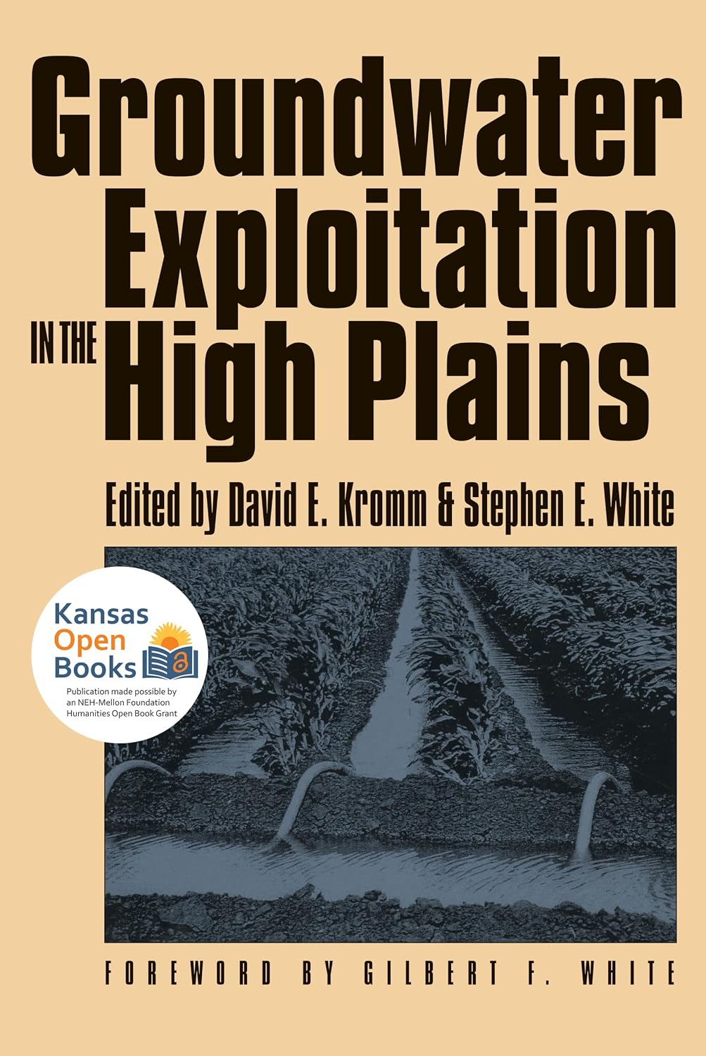Groundwater Exploitation in the High Plains (Development of Western Resources) (English Edition) baixar livro de graça