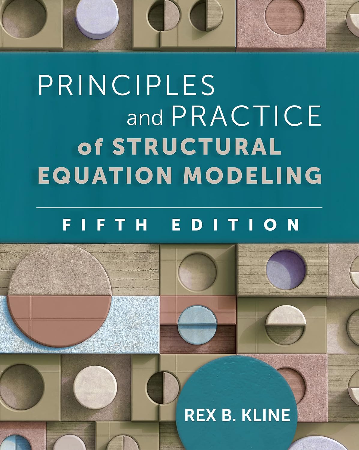 ler totalmente Principles and Practice of Structural Equation Modeling, Fifth Edition (Methodology in the Social Sciences)