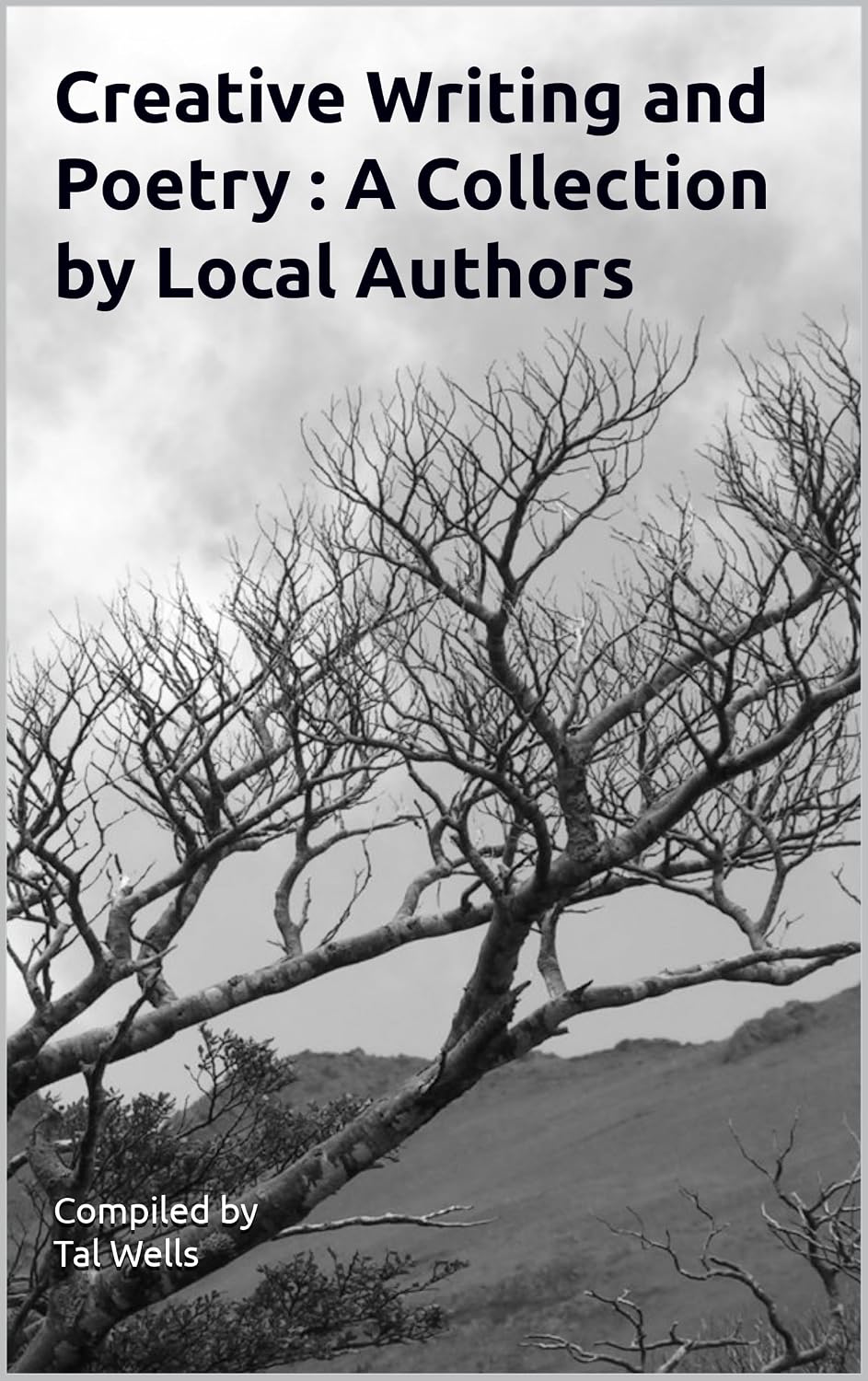 Creative Writing and Poetry Selections: A Collection by local authors (English Edition) baixar o livro de graça