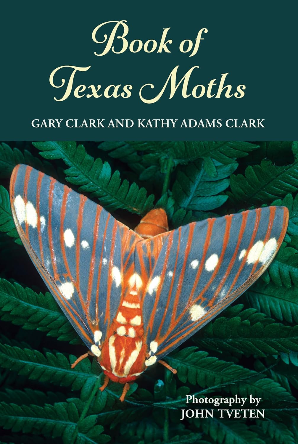 ler totalmente Book of Texas Moths (Gideon Lincecum Nature and Environment Series) (English Edition)