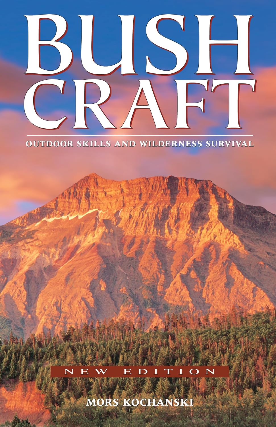 Bushcraft: Outdoor Skills and Wilderness Survival baixar livro de graça