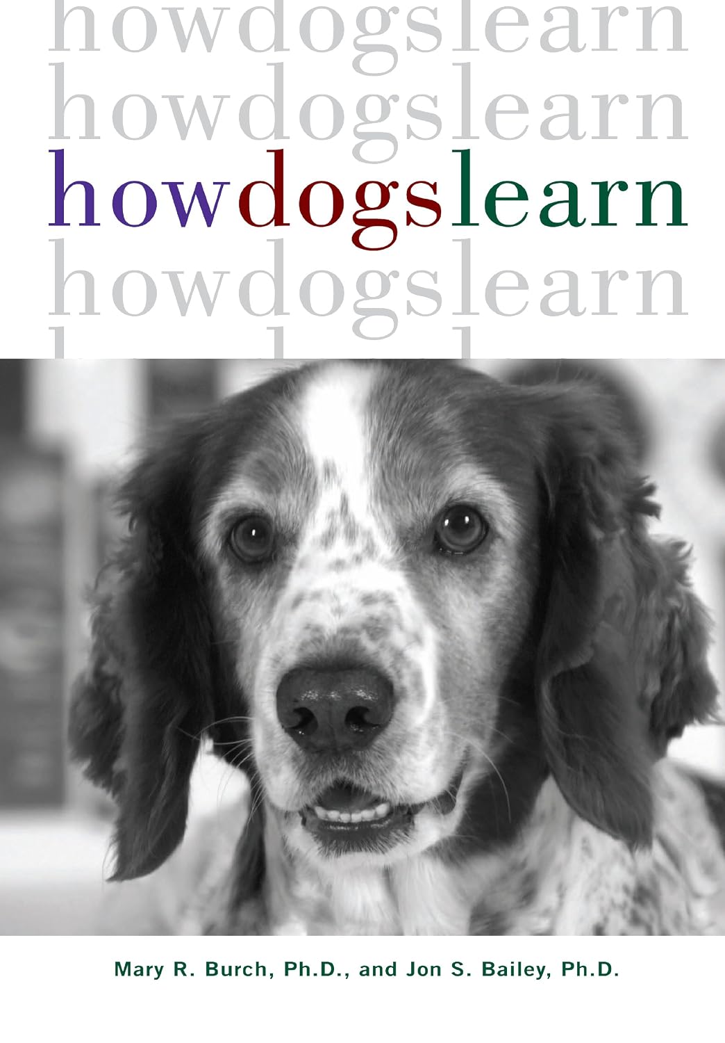 ler totalmente How Dogs Learn (English Edition)