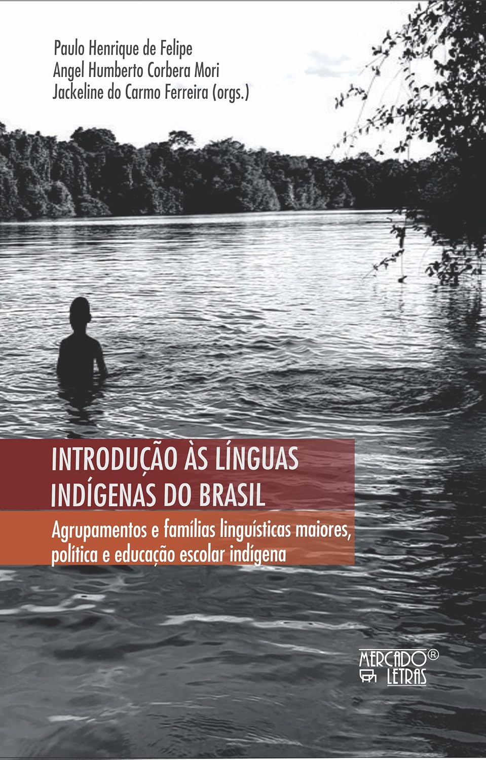 capítulo por capítulo baixar Introdução às Línguas Indígenas do Brasil: Agrupamentos e Famílias Linguísticas Maiores, Política e Educação Escolar Indígena (Volume 1)