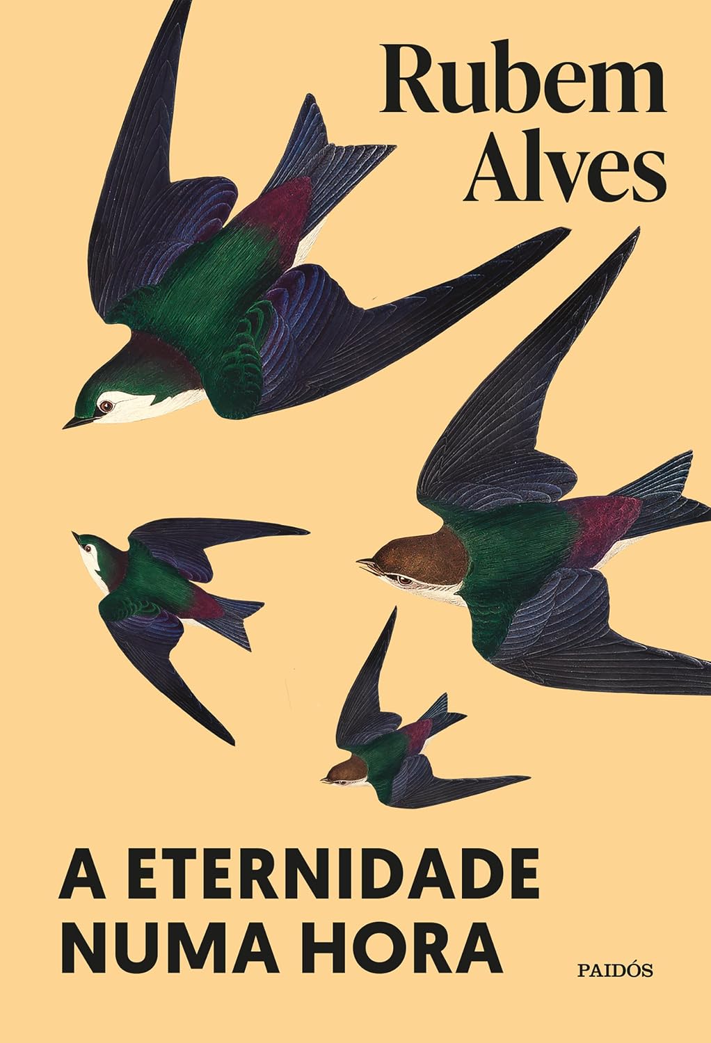 ler totalmente A eternidade numa hora: Nova edição (Biblioteca Rubem Alves)