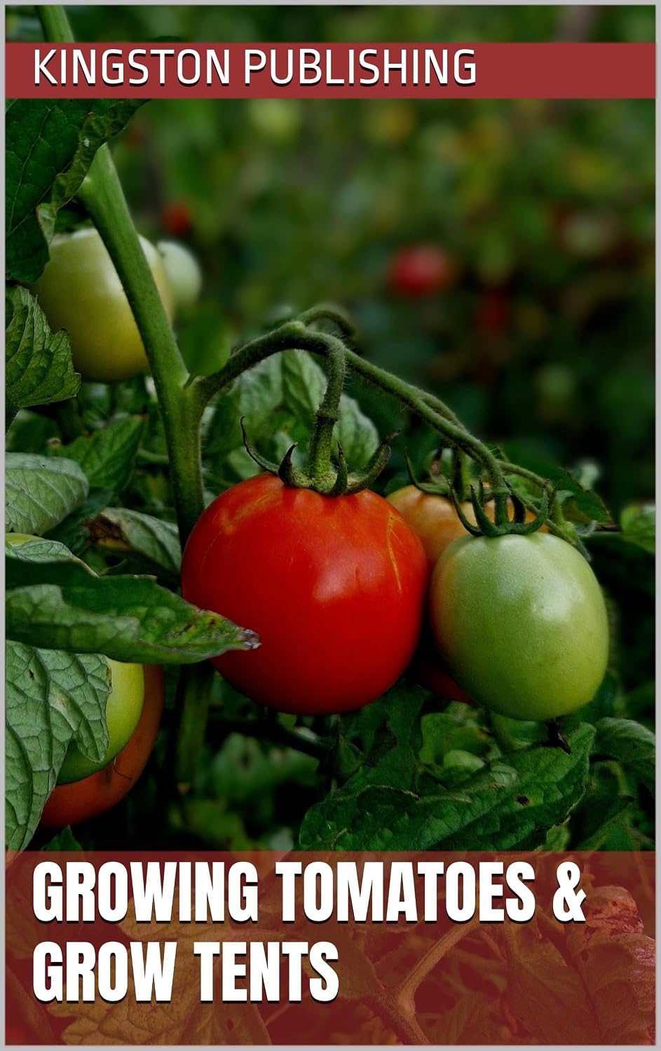 Growing Tomatoes & Grow Tents (Indoor Gardening) (English Edition) baixar o livro de graça