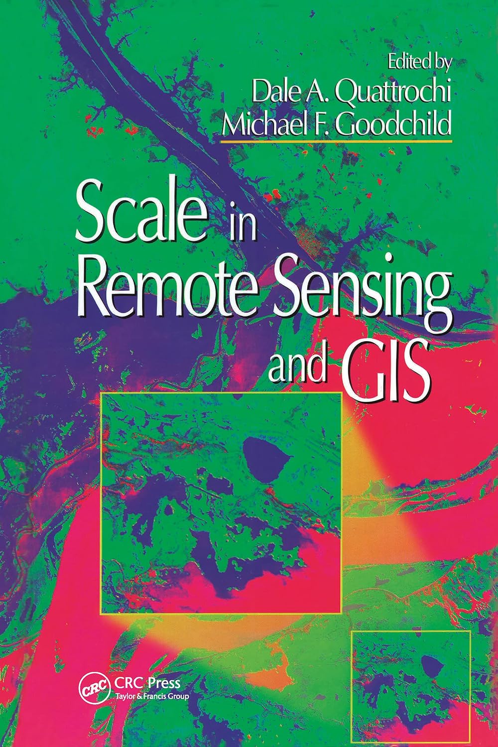 ler totalmente Scale in Remote Sensing and GIS (English Edition)