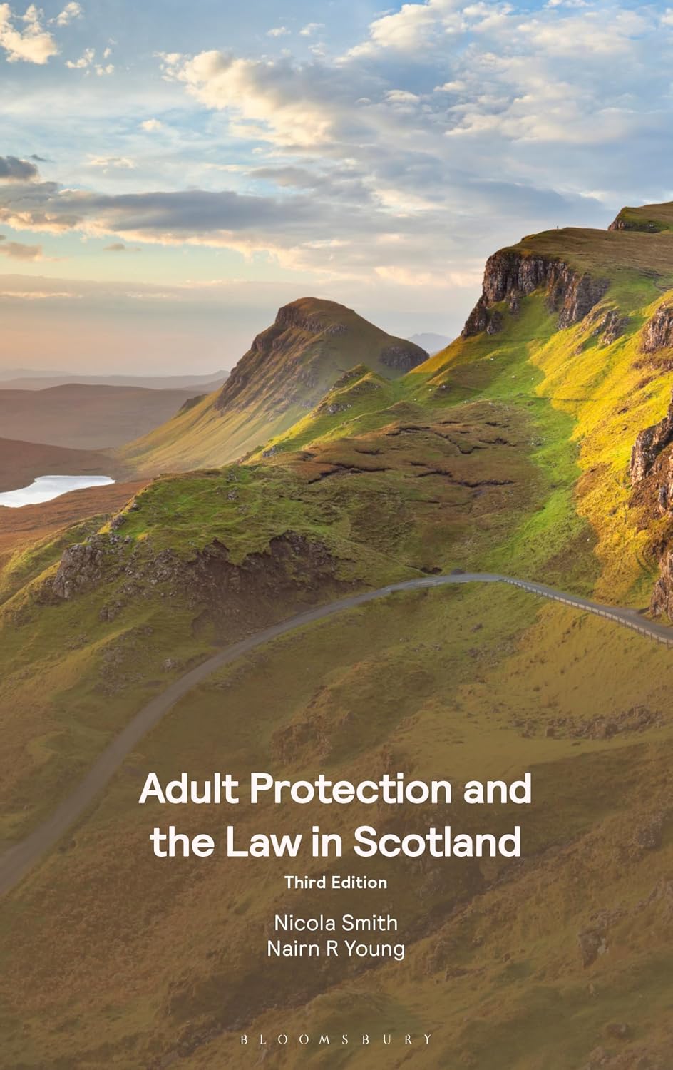 Adult Protection and the Law in Scotland (English Edition) baixar o livro de graça