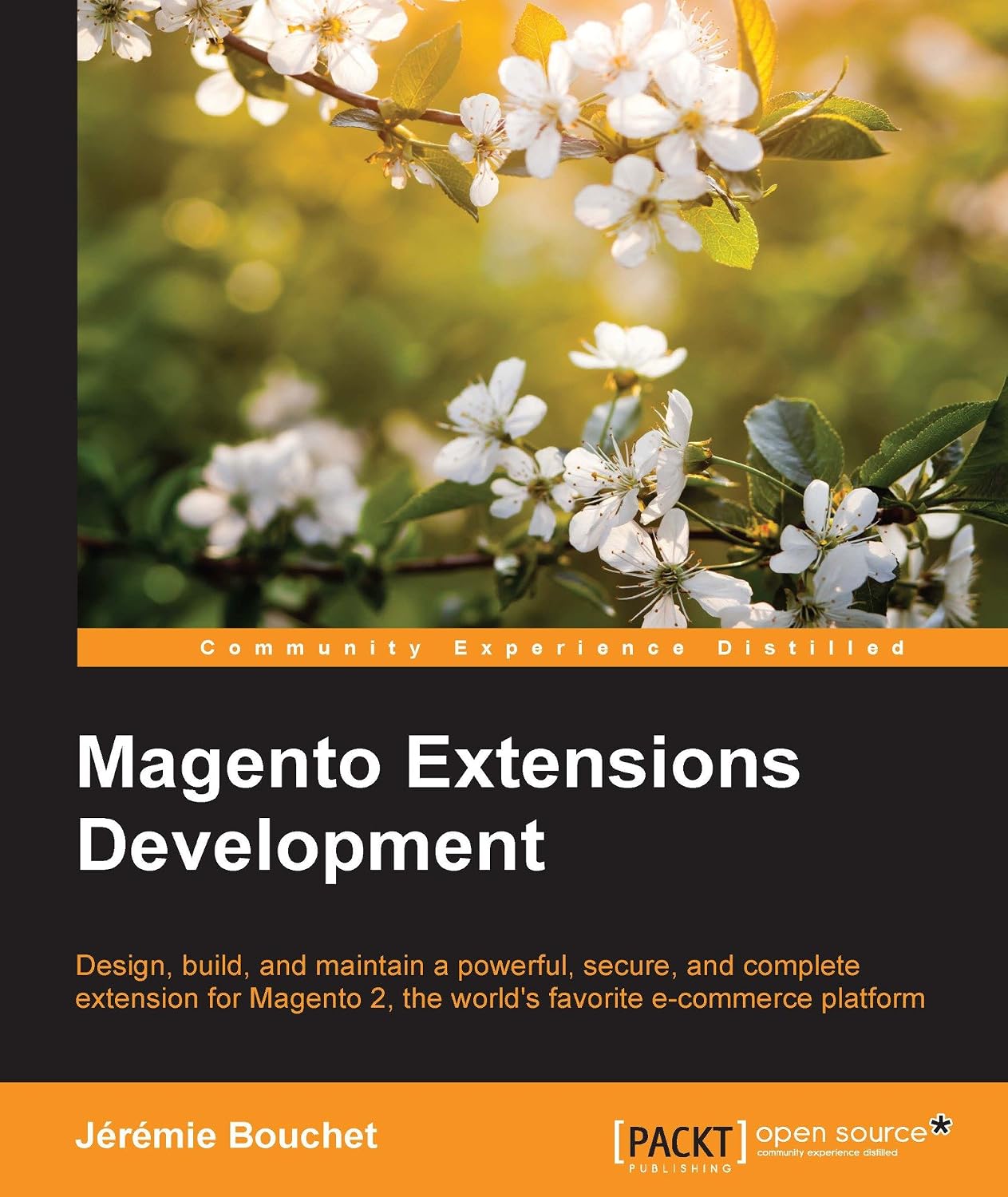 Magento Extensions Development (English Edition) baixar o livro de graça