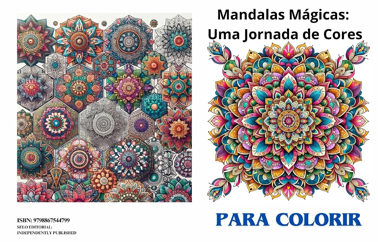 Mandalas Mágicas: Uma Jornada de Cores - Livro de Colorir para Todas as Idades (8 a 80 anos) baixar livro de graça