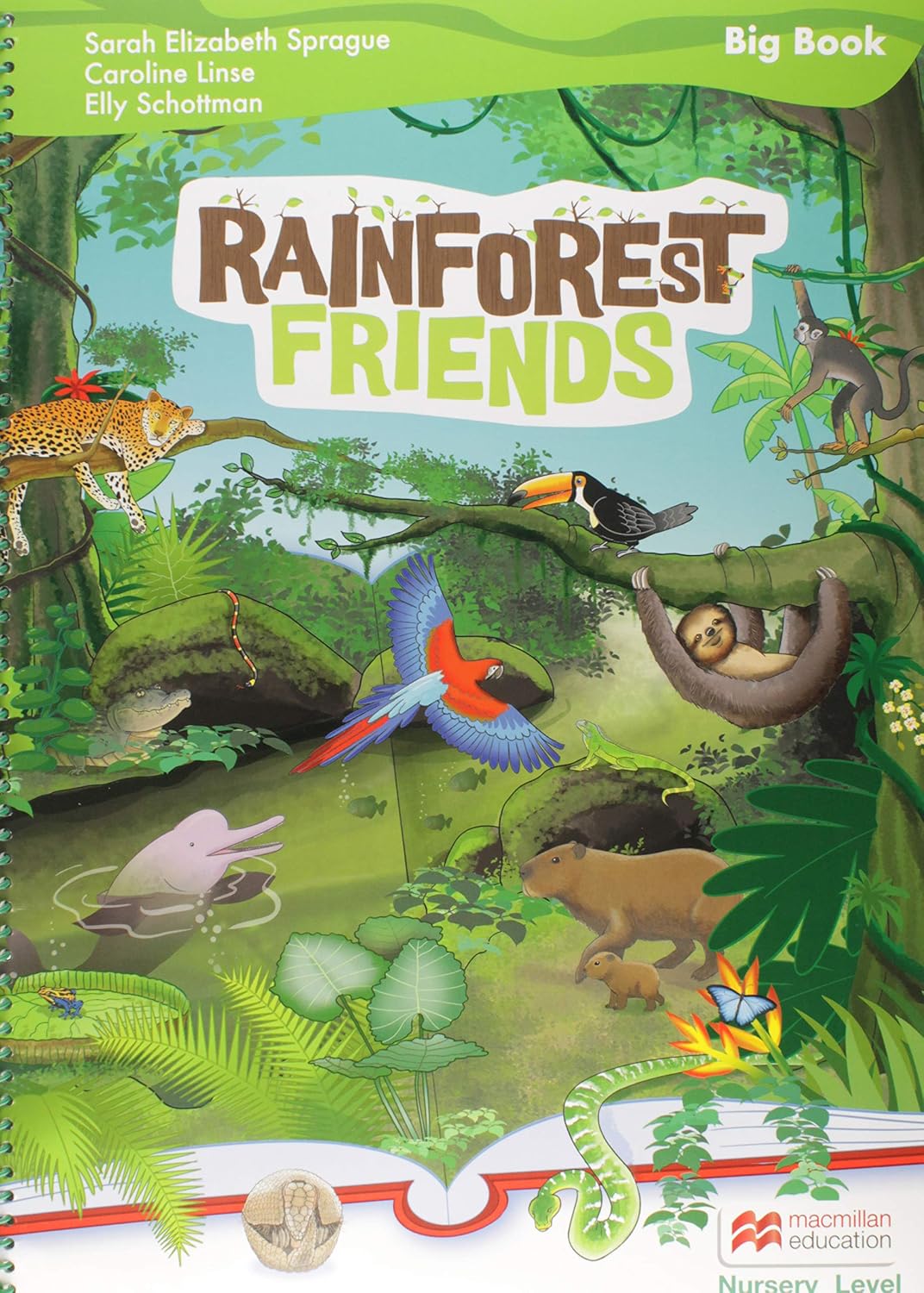 Rainforest Friends Big Book-Nursery baixar livro de graça