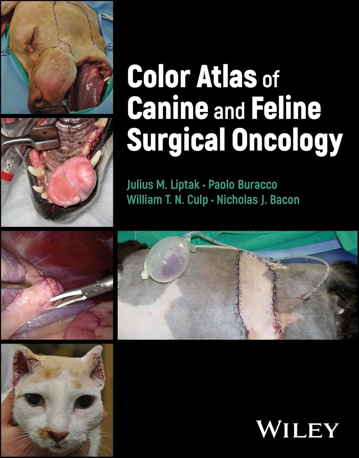 ler totalmente Color Atlas of Canine and Feline Surgical Oncology