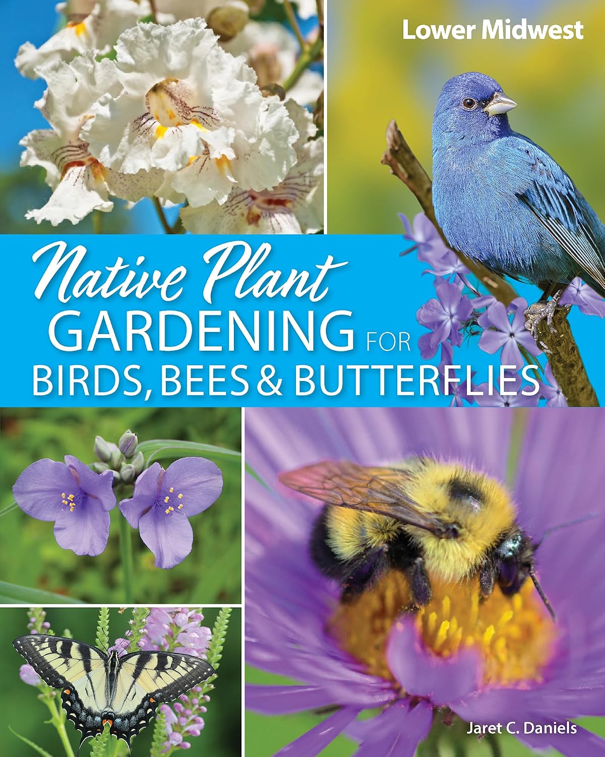 Native Plant Gardening for Birds, Bees & Butterflies: Lower Midwest (Nature-Friendly Gardens) (English Edition)