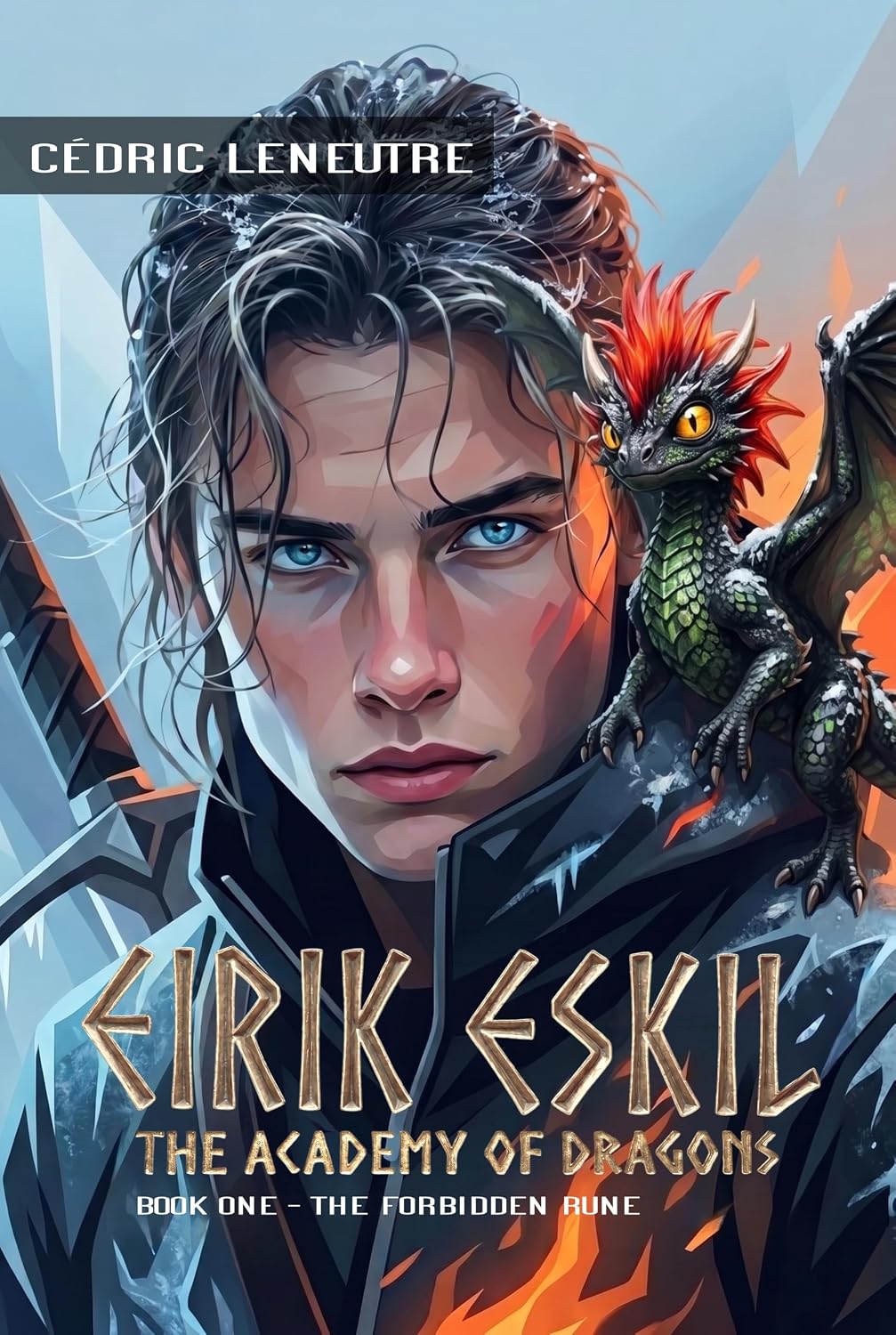 capítulo por capítulo baixar EIRIK ESKIL - THE ACADEMY OF DRAGONS: Book One: The Forbidden Rune (English Edition)