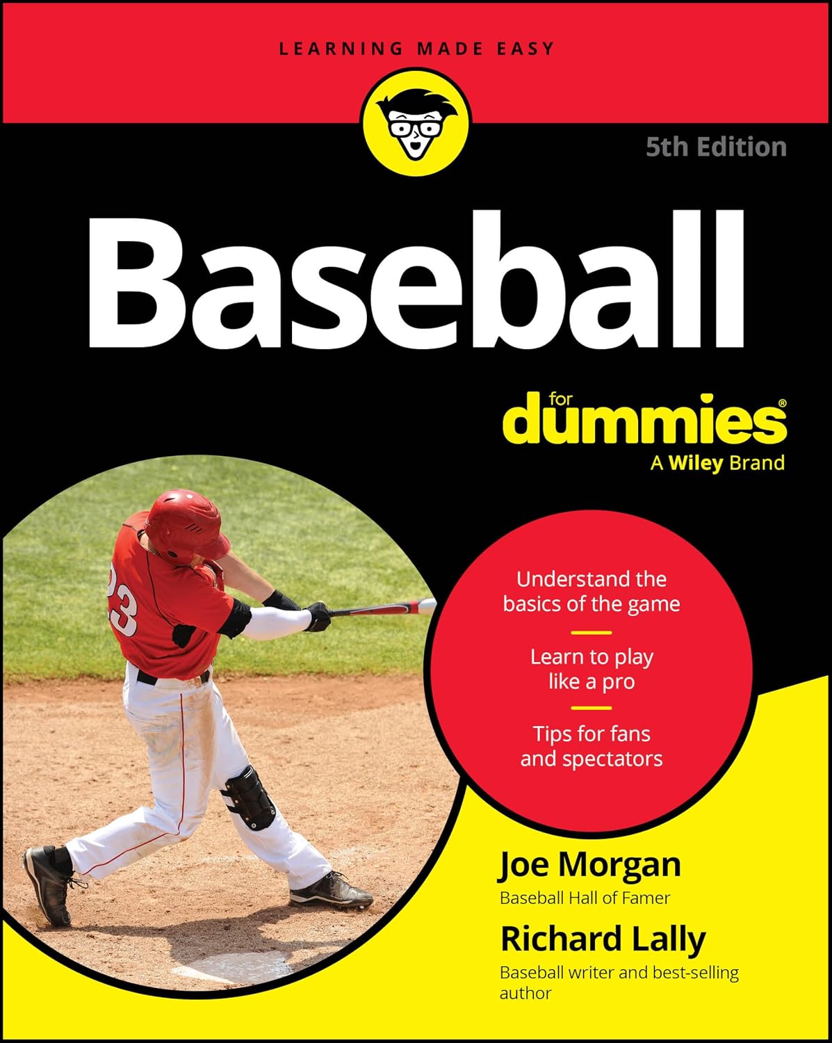 ler totalmente Baseball for Dummies