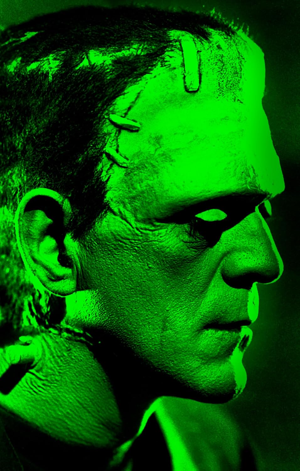 Frankenstein: Edição original de 1818 baixar livro de graça