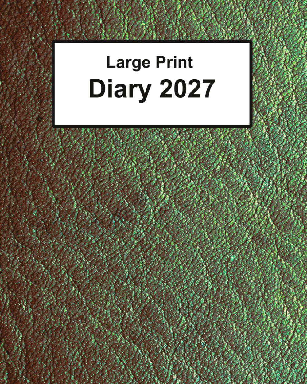 capítulo por capítulo baixar Large Print Diary 2027: super clear type, week to a page