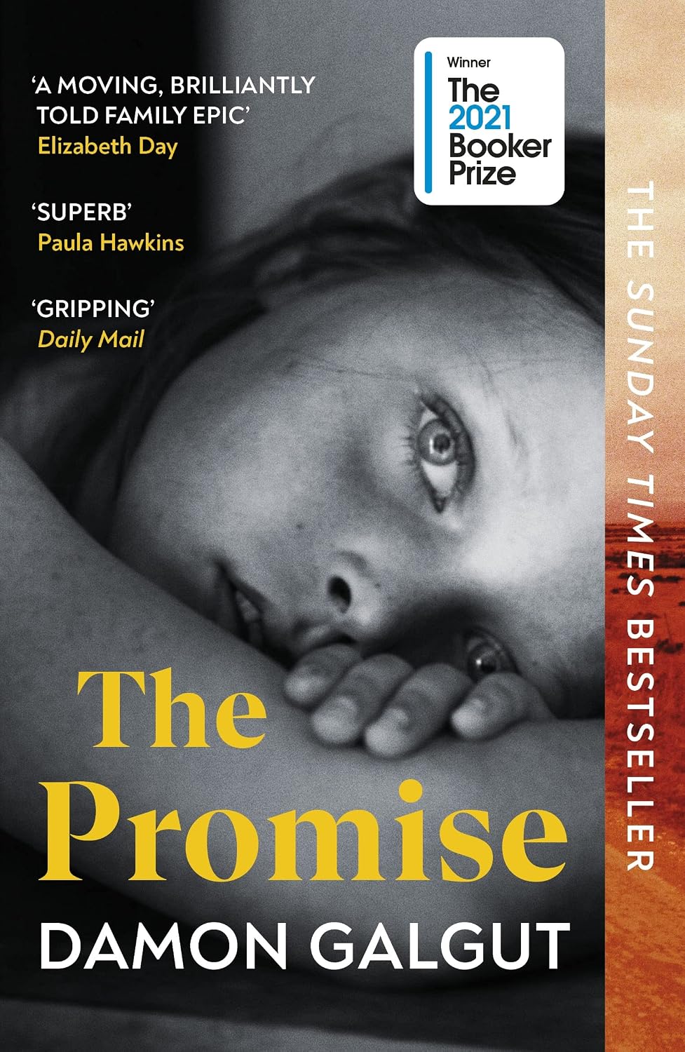 The Promise: WINNER OF THE BOOKER PRIZE (English Edition) baixar o livro de graça