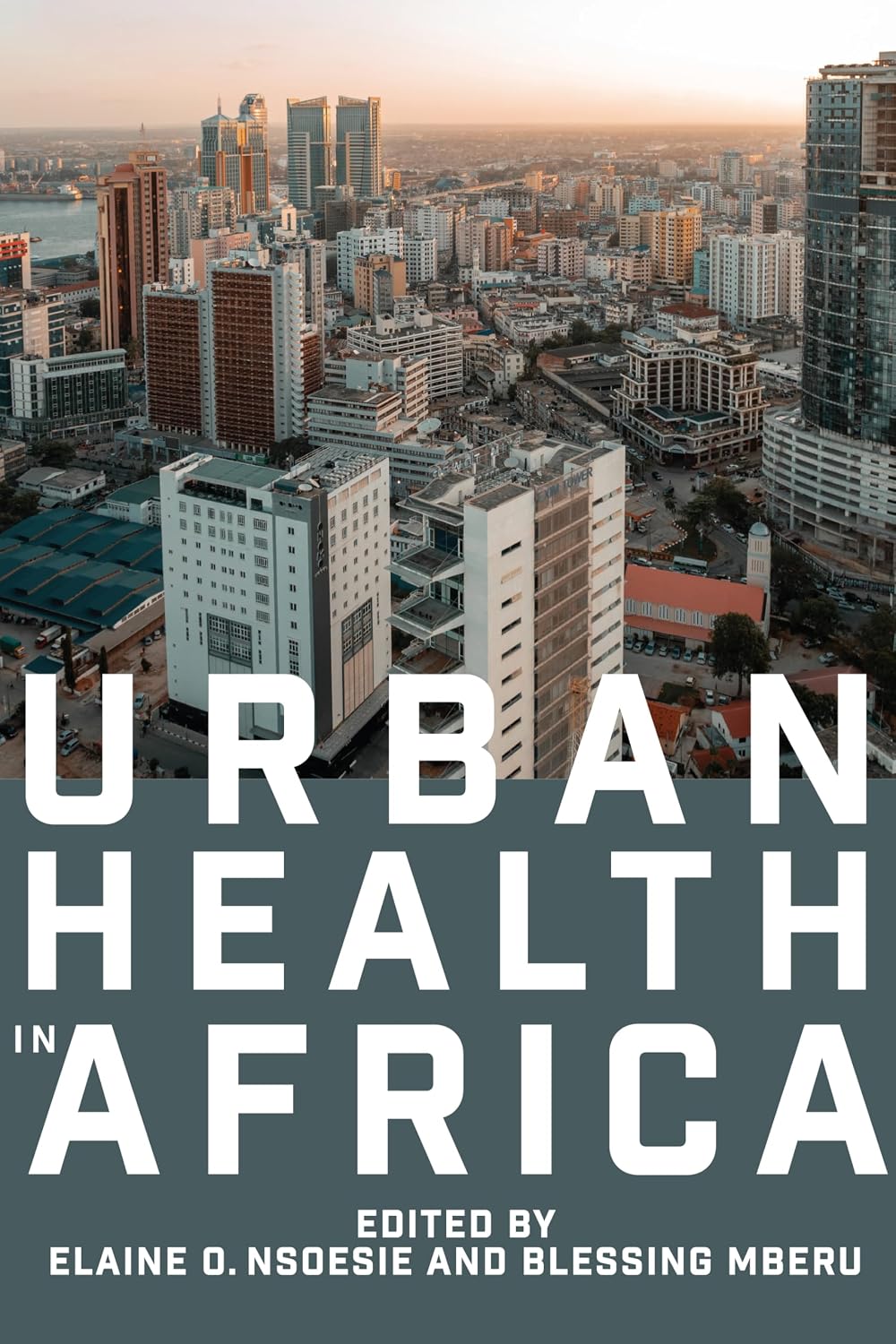 ler totalmente Urban Health in Africa (English Edition)