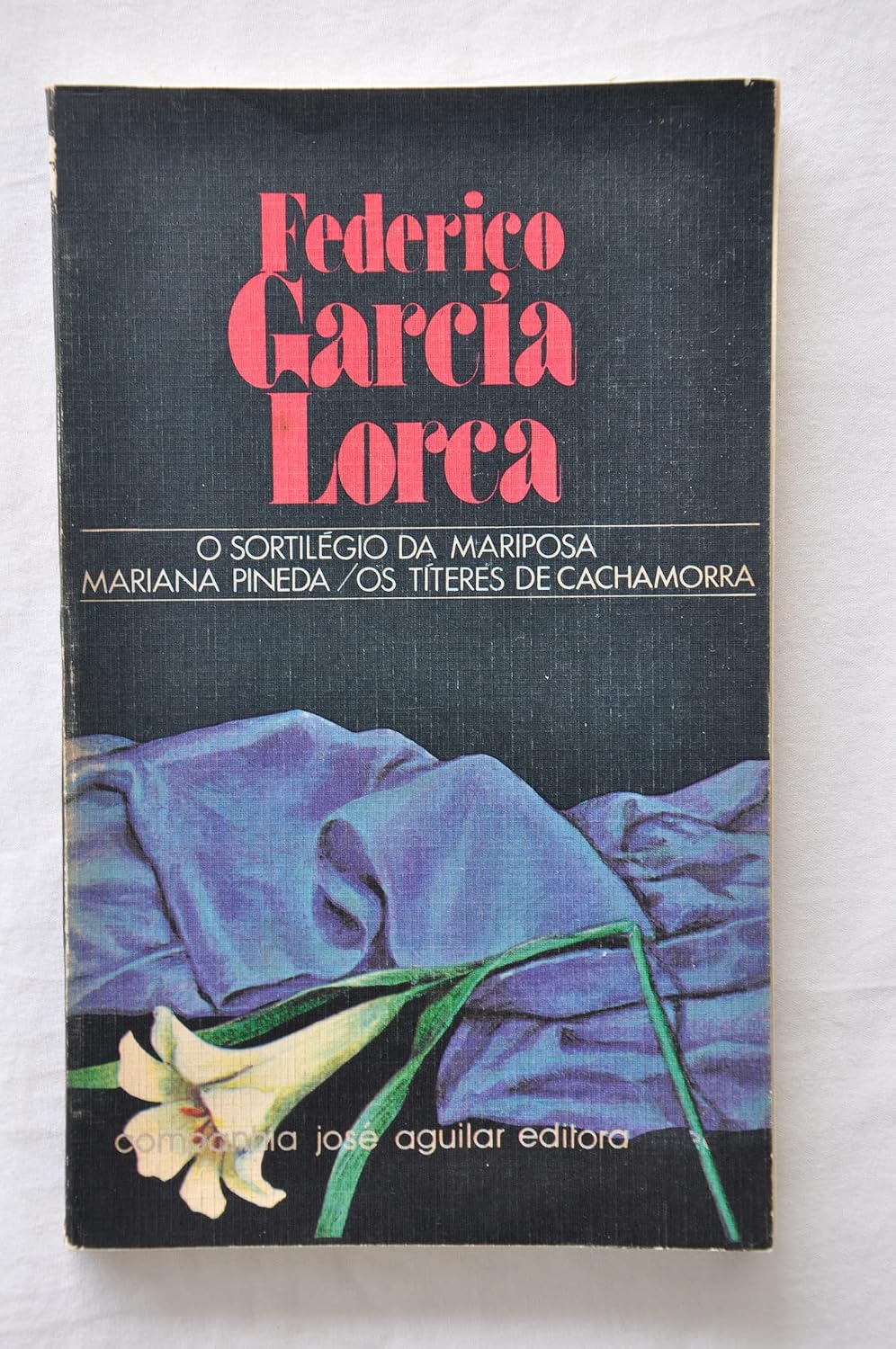 O sortilégio da mariposa Mariana Pineda Os títeres de Cachamorra baixar livro de graça