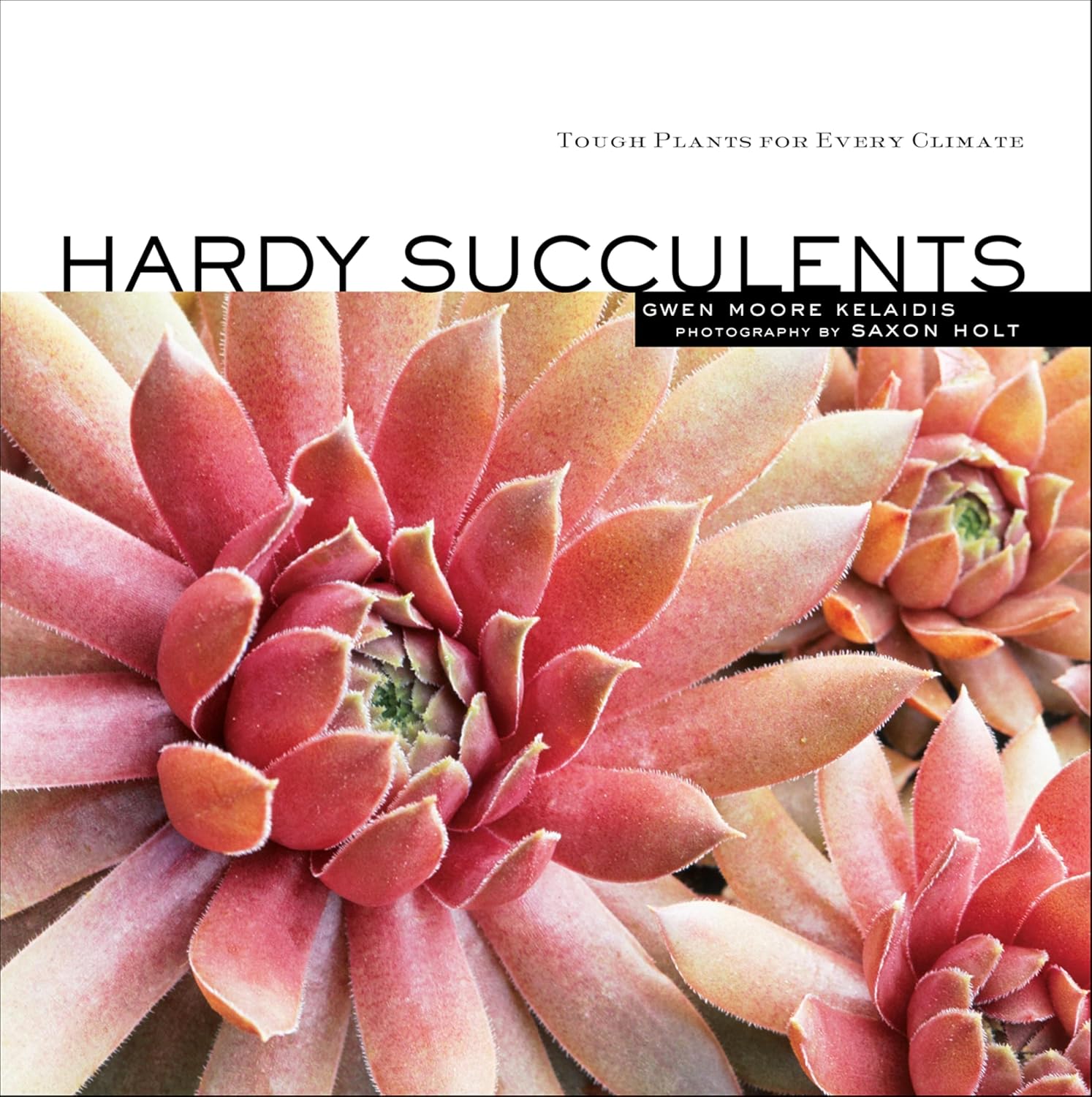 ler totalmente Hardy Succulents: Tough Plants for Every Climate (English Edition)