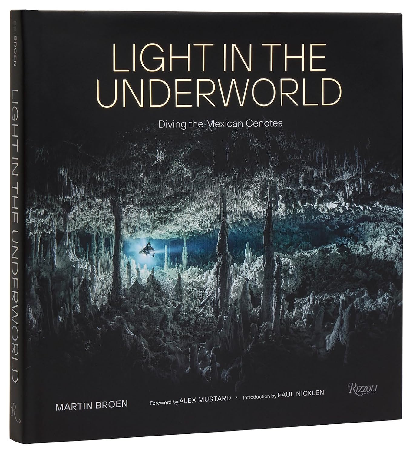 Light in the Underworld: Diving the Mexican Cenotes baixar livro de graça