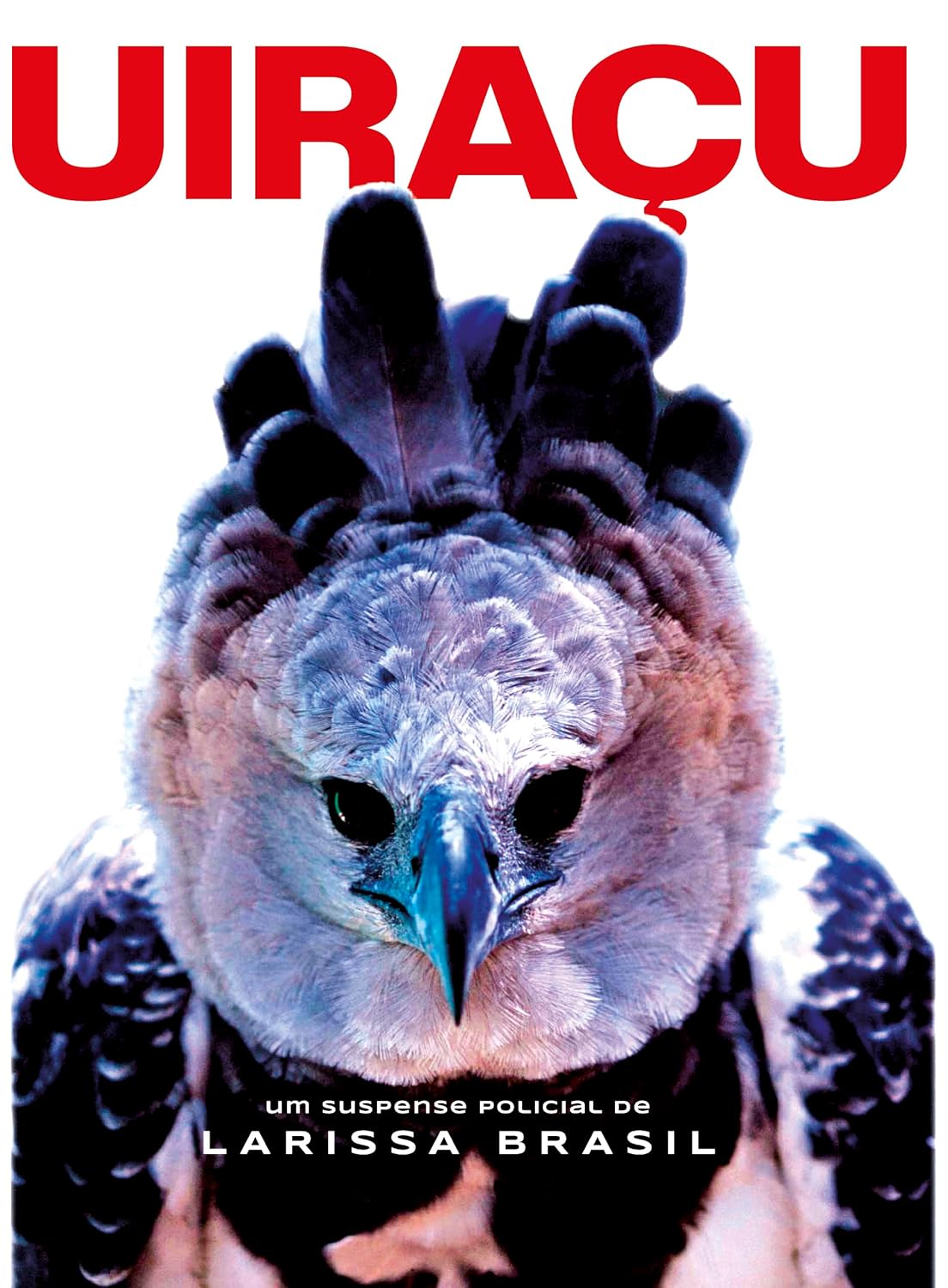 capítulo por capítulo baixar Uiraçu (Suspense investigativo de Nanda Noronha Livro 3)