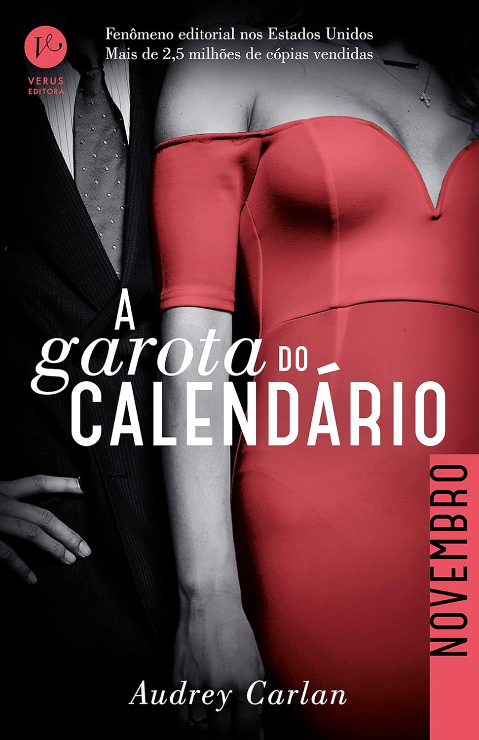 A garota do calendário: Novembro baixar livro de graça