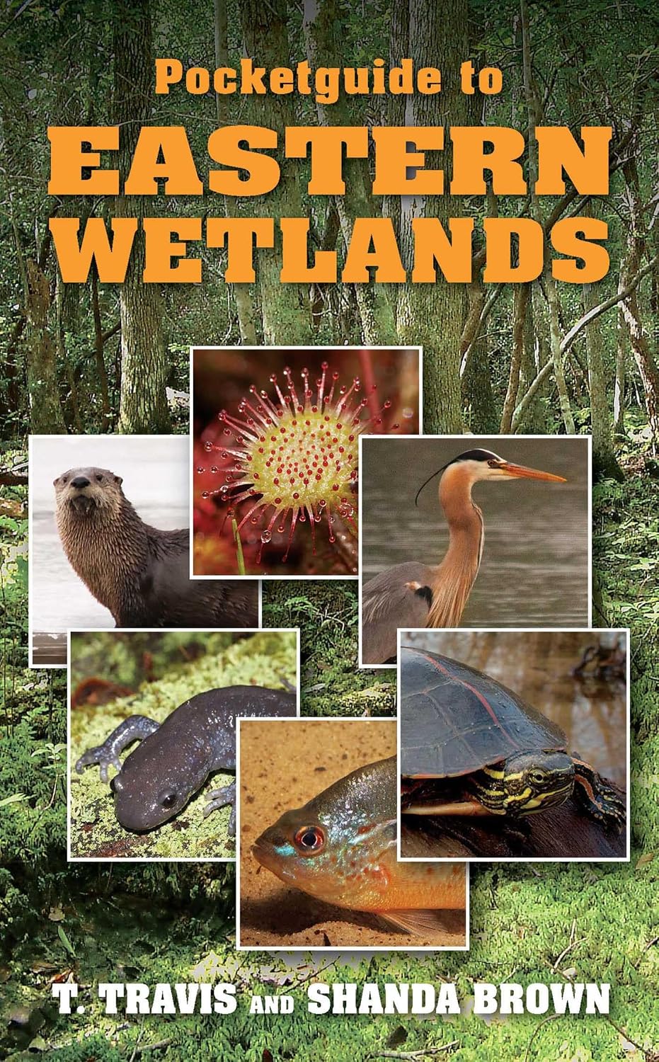 Pocketguide to Eastern Wetlands (English Edition) baixar o livro de graça