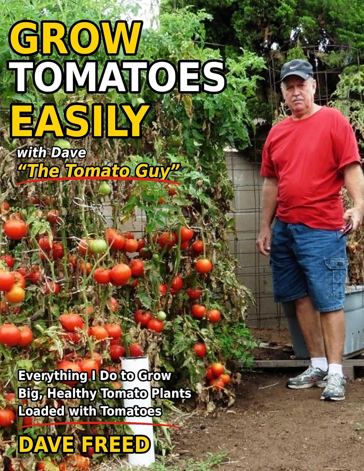Grow Tomatoes Easily (English Edition) baixar livro de graça