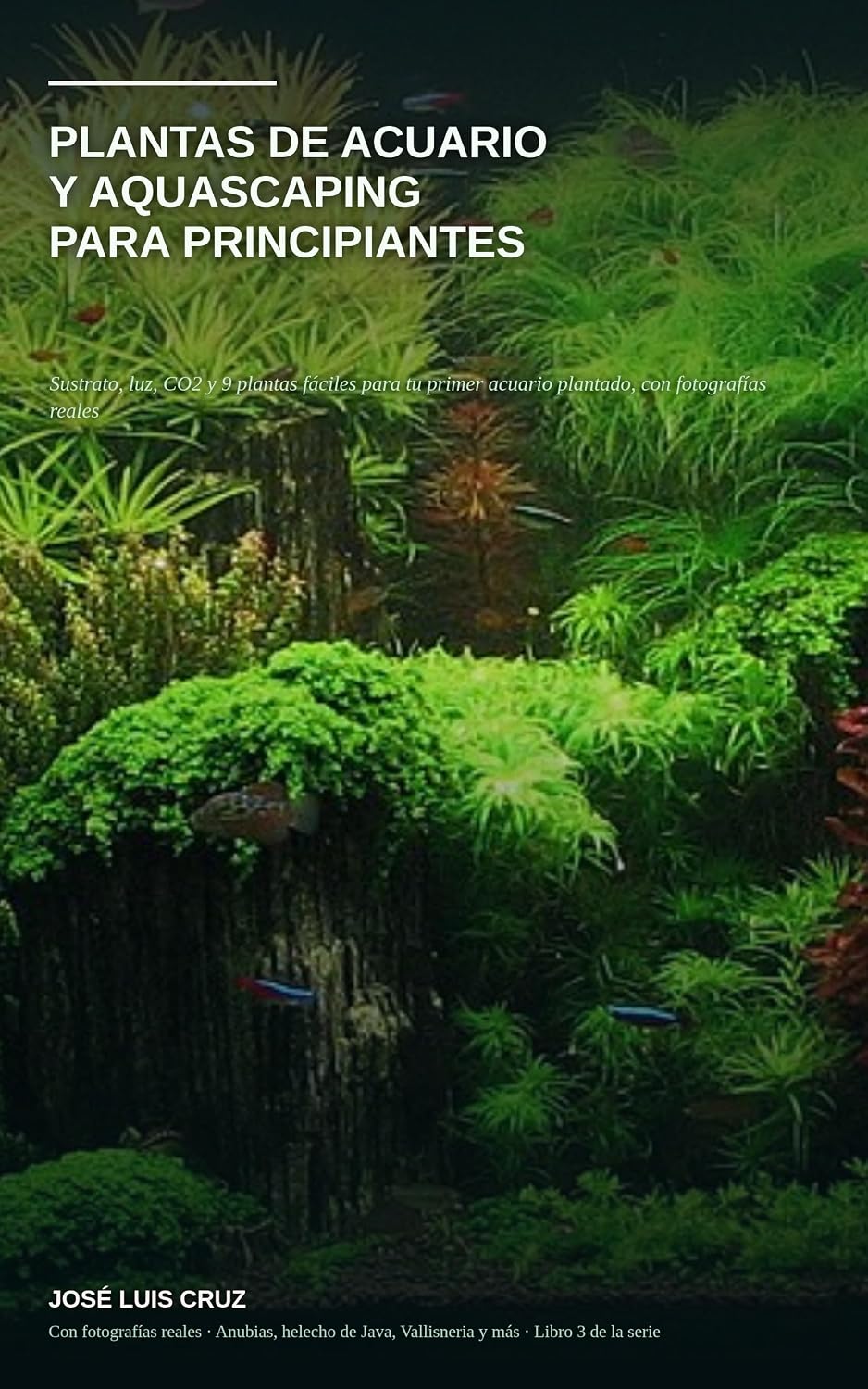 Plantas de Acuario y Aquascaping para Principiantes: Sustrato, luz, CO2 y 9 plantas fáciles para tu primer acuario plantado: Anubias, helecho de Java,... para Principiantes) (Spanish Edition) baixar livro de graça