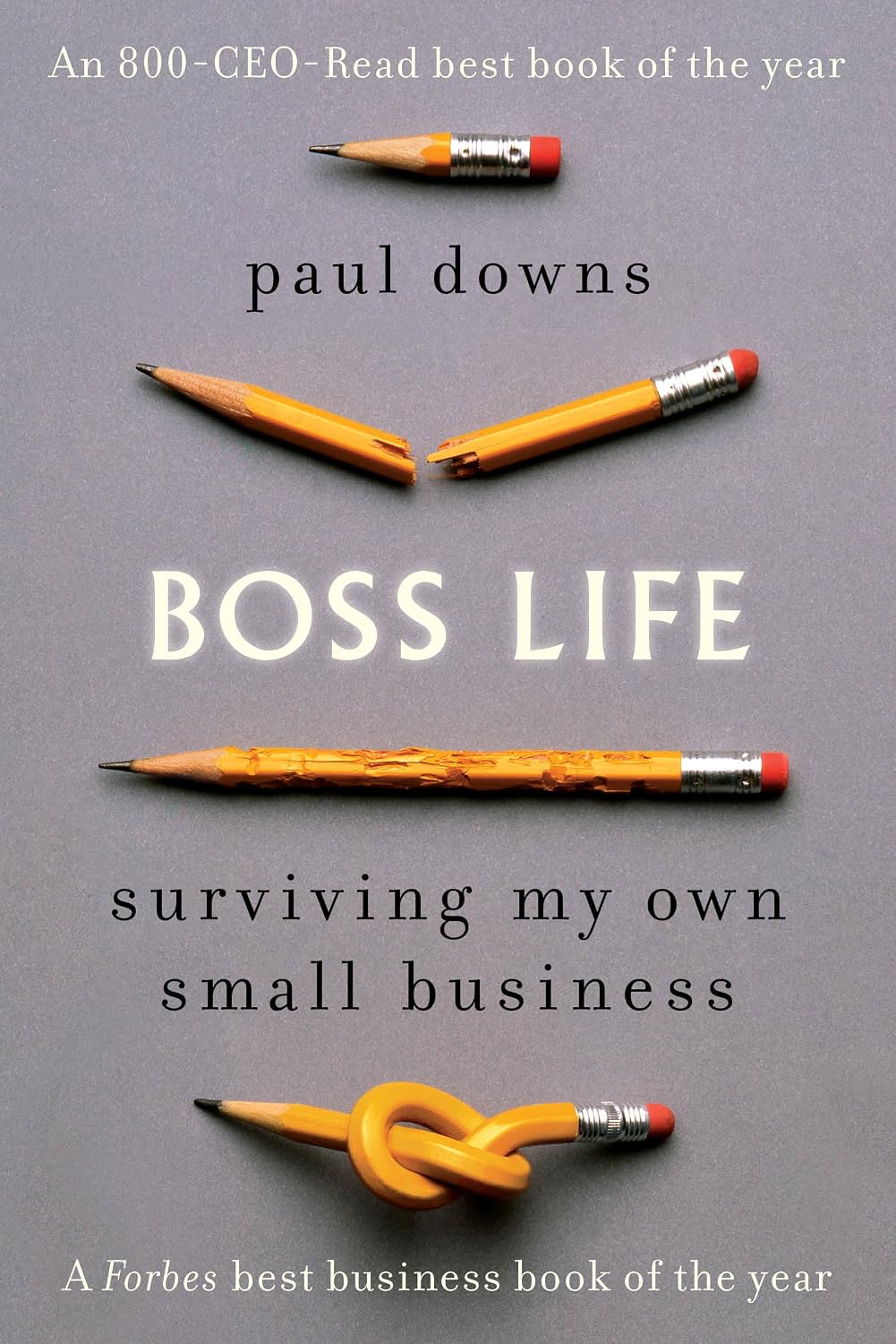 Boss Life: Surviving My Own Small Business (English Edition) baixar livro de graça