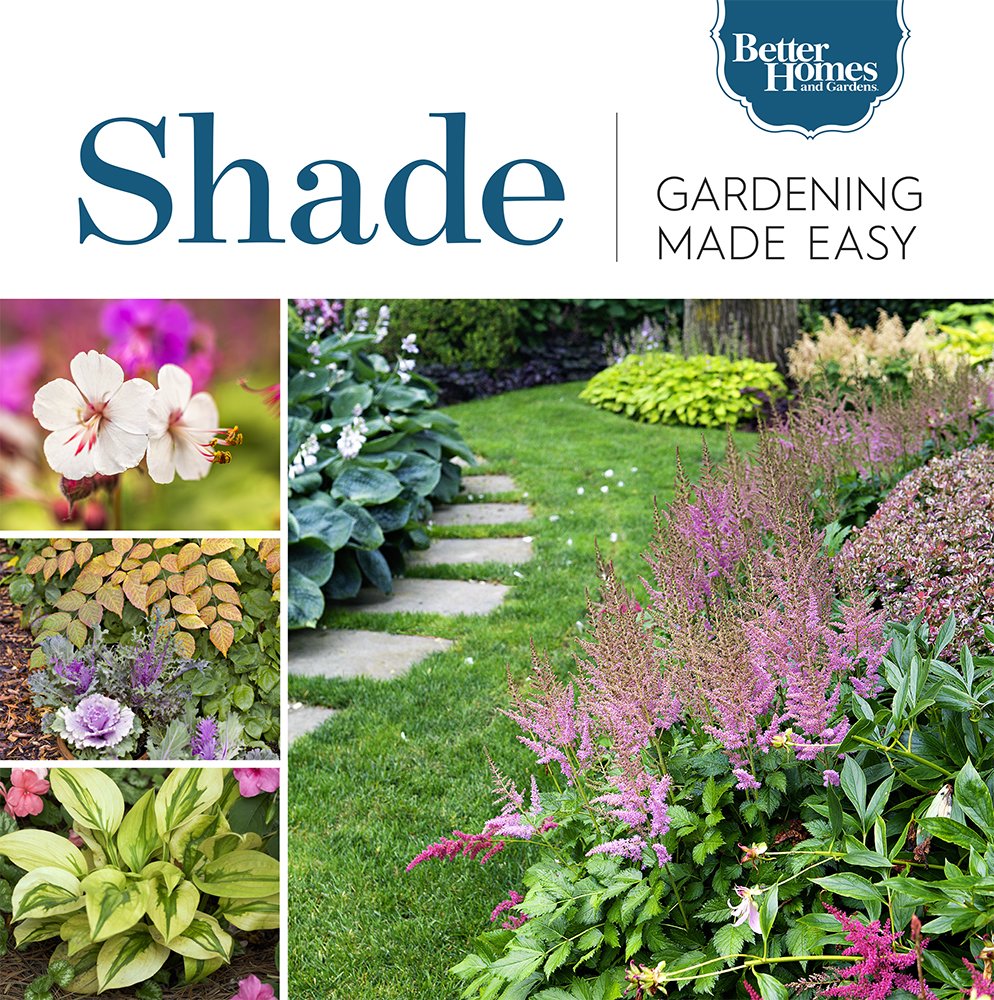 Shade Gardening Made Easy (English Edition) baixar livro de graça