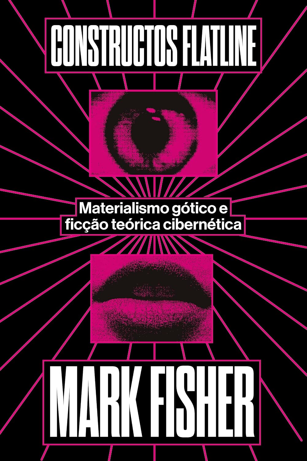 Constructos flatline: materialismo gótico e teoria cibernética ficcional baixar o livro de graça