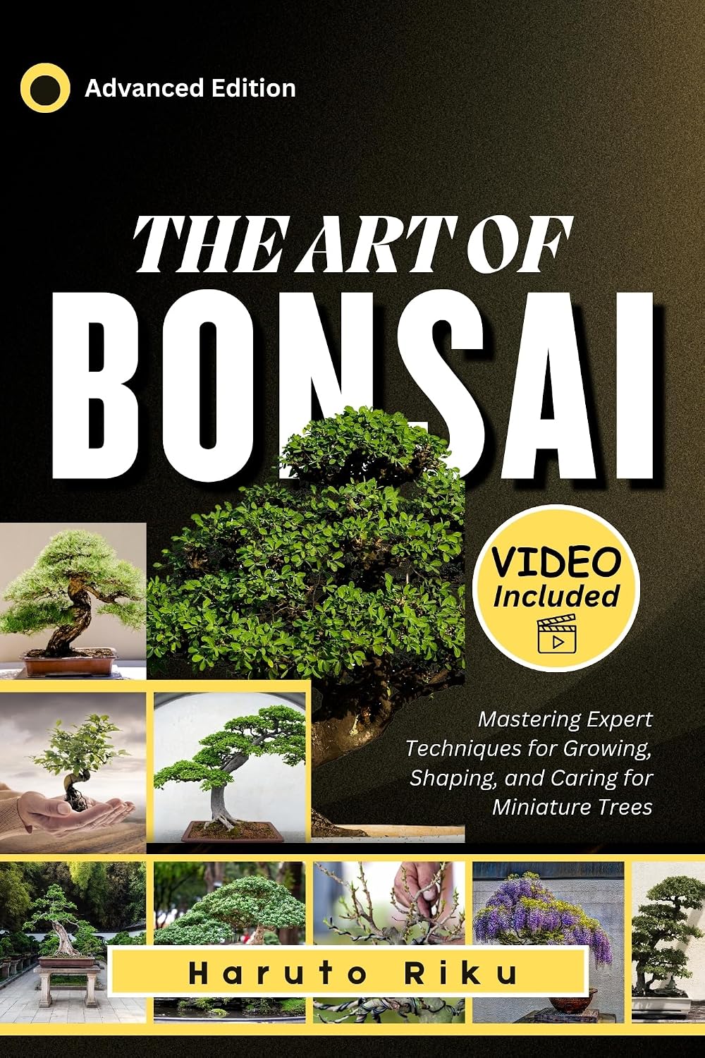 The Art of Bonsai (FULL COLORED): Mastering Expert Techniques for Growing, Shaping, and Caring for Miniature Trees (English Edition) baixar livro de graça